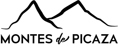 Logotipo Montes de Picaza. Productos con miel en Guadalajara.