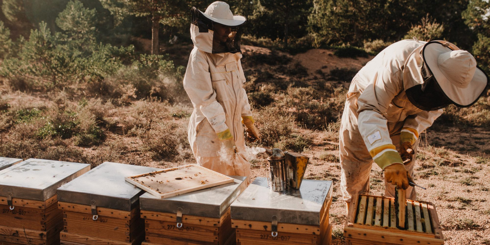 Productos Montes de Picaza